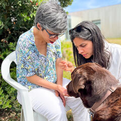 Galeria - Imagem 0 da Cães em formação visitam a ALADI para momento de avaliação