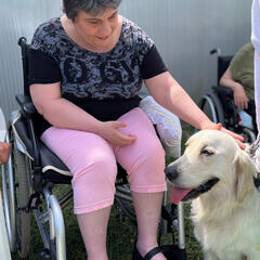 Galeria - Imagem 7 da Cães em formação visitam a ALADI para momento de avaliação