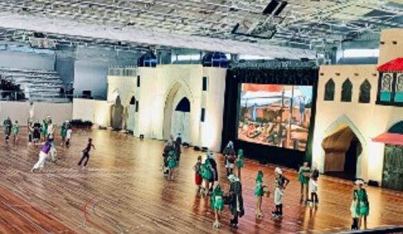 Utentes assistem a espetculo de patinagem artstica em Matosinhos