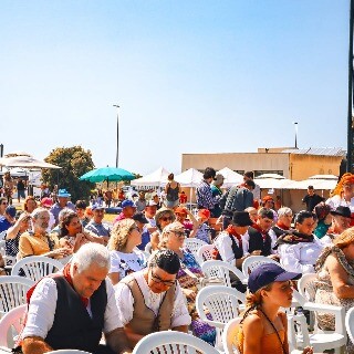 Imagem da Festival de Dan�as e Cantares: o palco onde todos brilham