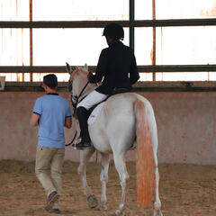 Galeria - Imagem 5 da Utente da ALADI conquista medalha de prata em prova de equita��o