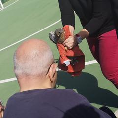 Galeria - Imagem 0 da Dia Mundial do Animal celebrado na ALADI