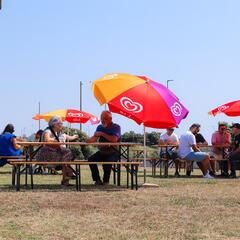 Galeria - Imagem 10 da Festival de Dan�as e Cantares: o palco onde todos brilham