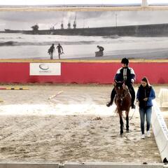 Galeria - Imagem 0 da Utentes premiados em campeonato de equitao do Special Olympics Portugal
