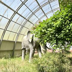 Galeria - Imagem 10 da Visita ao Parque Biológico de Gaia