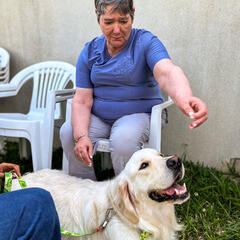 Galeria - Imagem 8 da Cães em formação visitam a ALADI para momento de avaliação