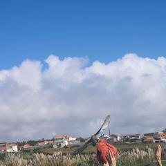 Galeria - Imagem 1 da Dia Mundial do Animal celebrado na ALADI