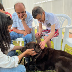 Galeria - Imagem 3 da Cães em formação visitam a ALADI para momento de avaliação