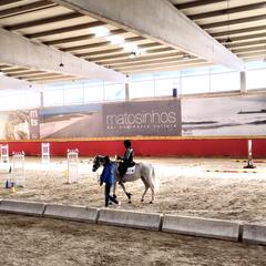 Galeria - Imagem 1 da Utentes premiados em campeonato de equitao do Special Olympics Portugal