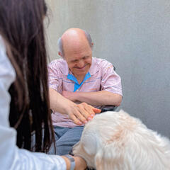 Galeria - Imagem 2 da Cães em formação visitam a ALADI para momento de avaliação