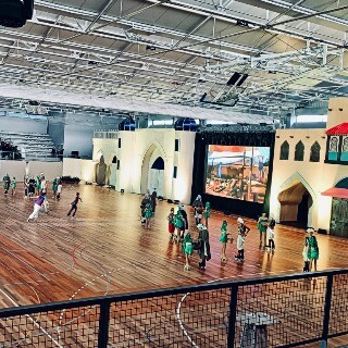Imagem da Utentes assistem a espetculo de patinagem artstica em Matosinhos