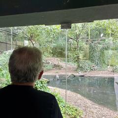 Galeria - Imagem 1 da Visita ao Parque Biológico de Gaia