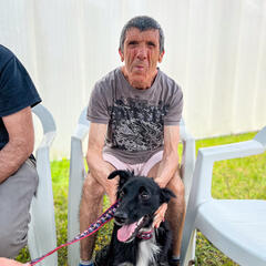 Galeria - Imagem 1 da Cães em formação visitam a ALADI para momento de avaliação