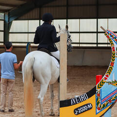 Galeria - Imagem 11 da Utente da ALADI conquista medalha de prata em prova de equita��o