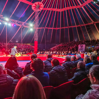 Imagem da Utentes come�am o ano no Circo Soledad Cardinali
