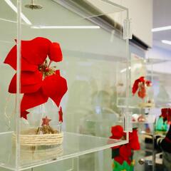 Galeria - Imagem 7 da Decor�mos a loja da Indaqua Senhora da Hora com o tema de Natal 